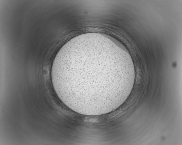 X0000116630602201001221402