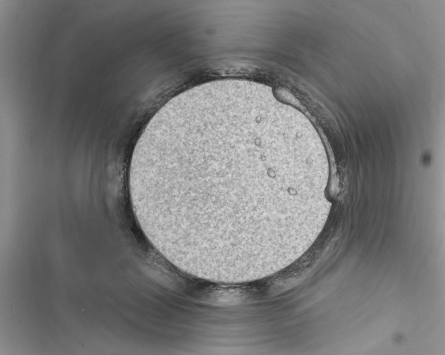 X0000116630604201001221402
