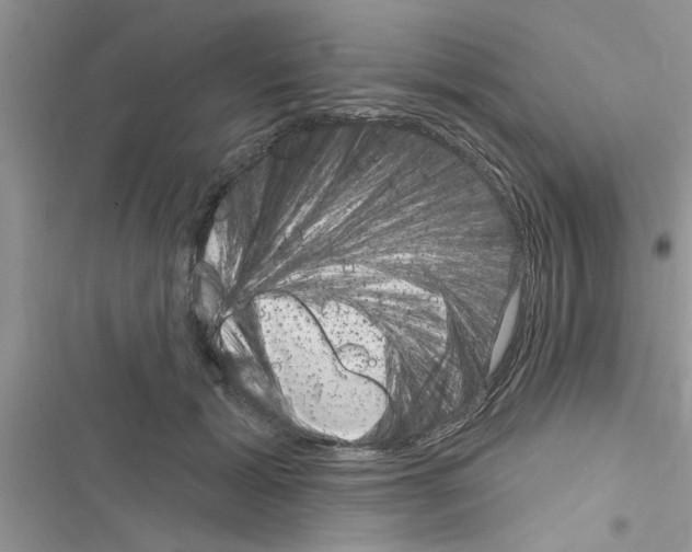 X0000116630605201001221402
