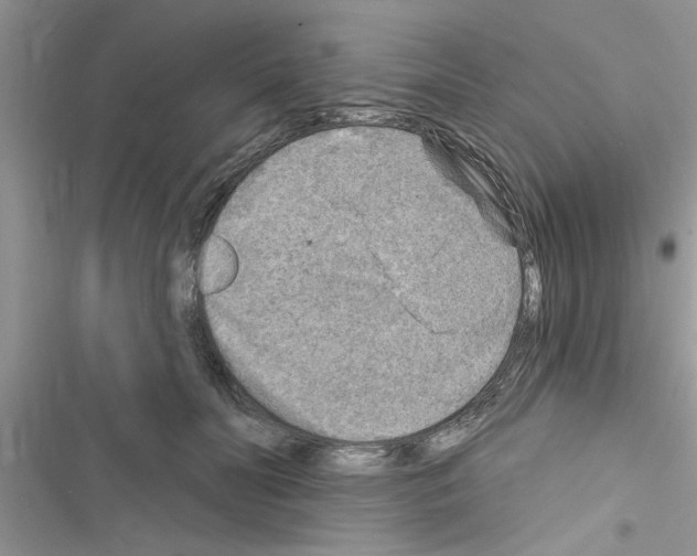 X0000116630606201001221402
