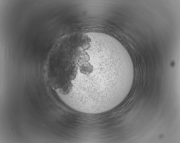X0000116630608201001221402