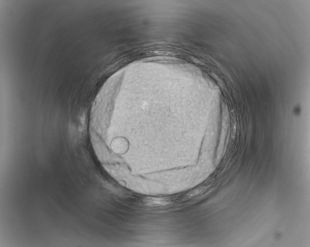 X0000116630610201001221402