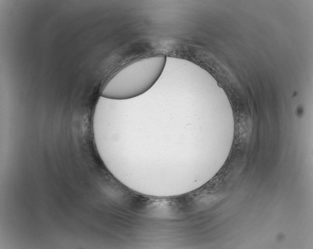 X0000116630611201001221402