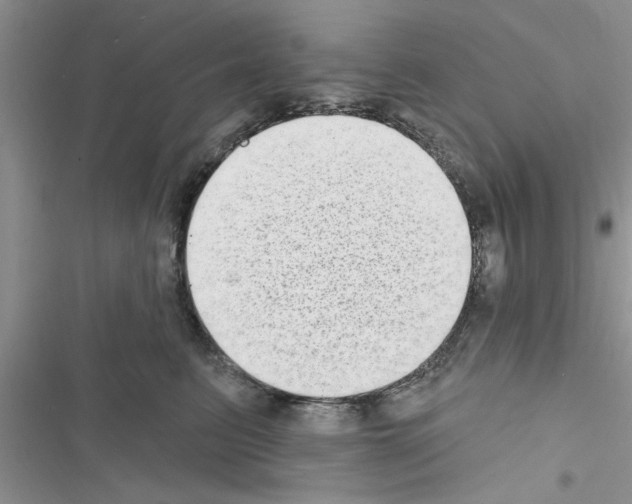 X0000116630615201001221402