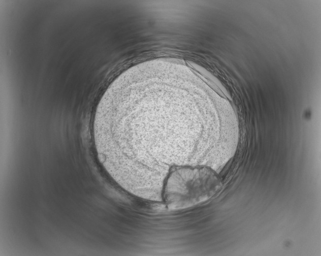 X0000116630616201001221402