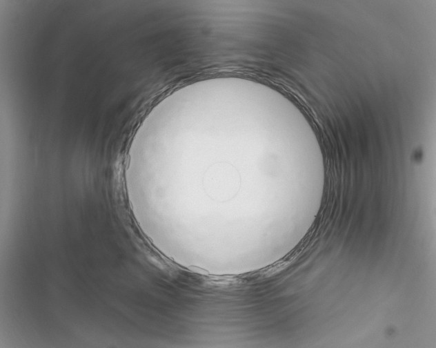 X0000116630617201001221402