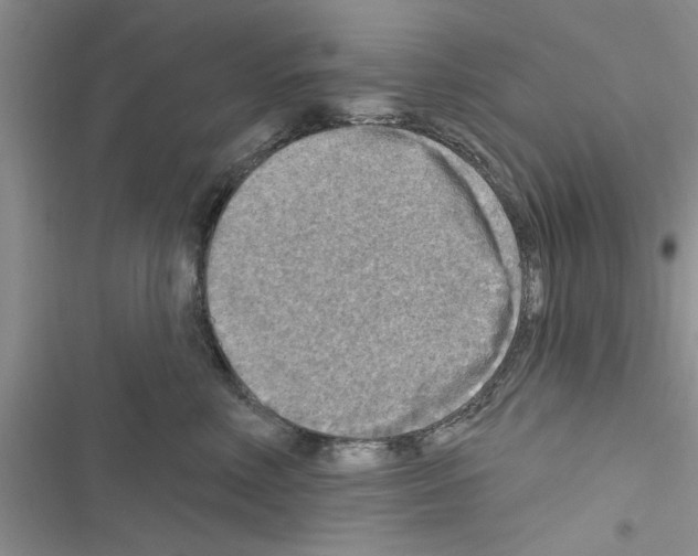 X0000116630618201001221402