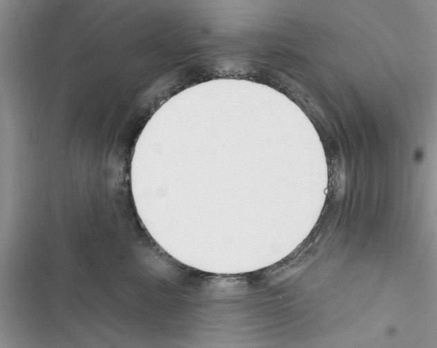 X0000116630619201001221402