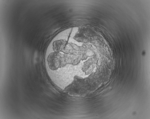 X0000116630620201001221402