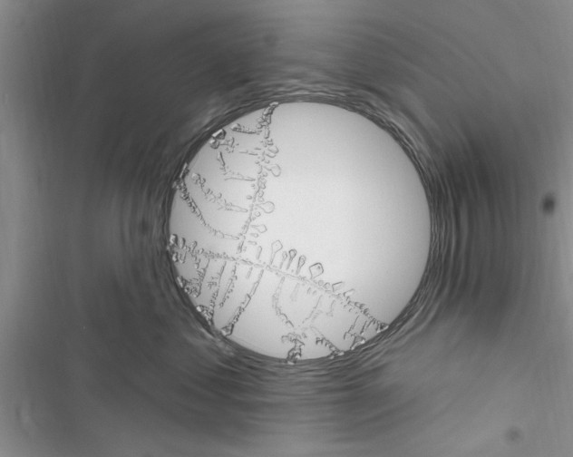 X0000116630621201001221402