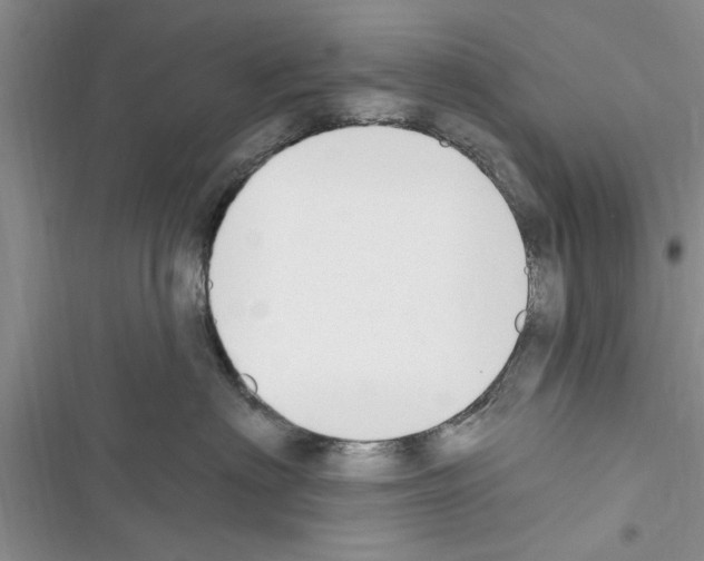 X0000116630622201001221402