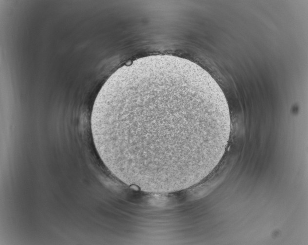 X0000116630623201001221402