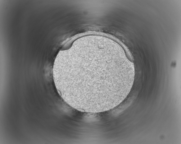 X0000116630624201001221402