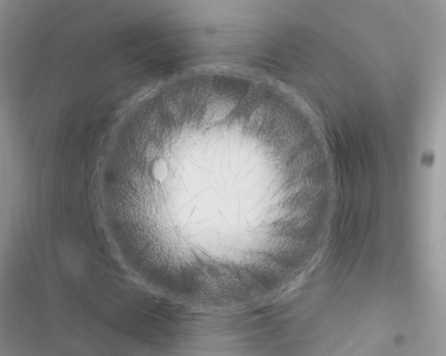X0000116630625201001221401