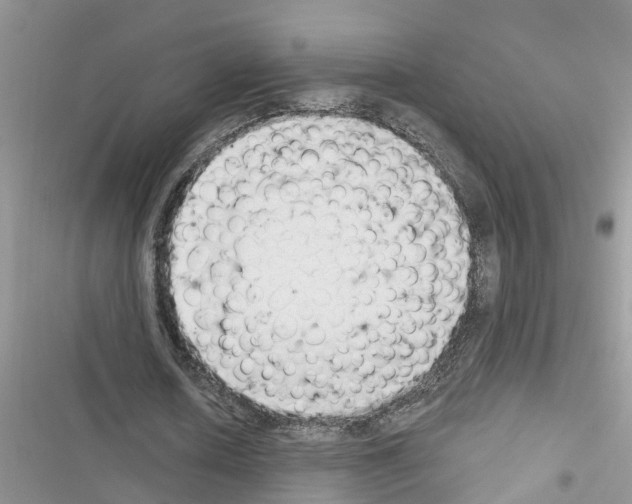 X0000116630626201001221401