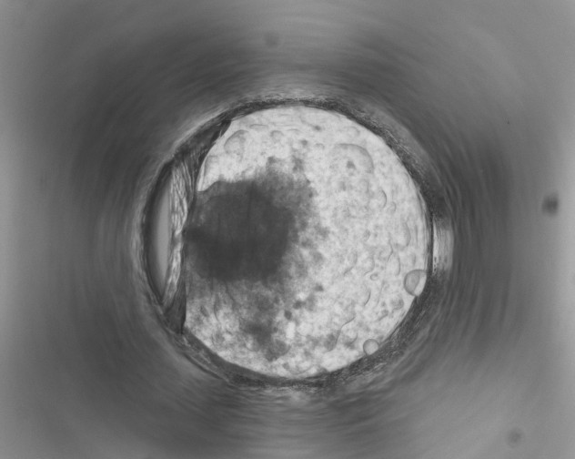 X0000116630627201001221401