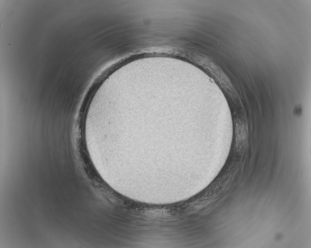 X0000116630628201001221401