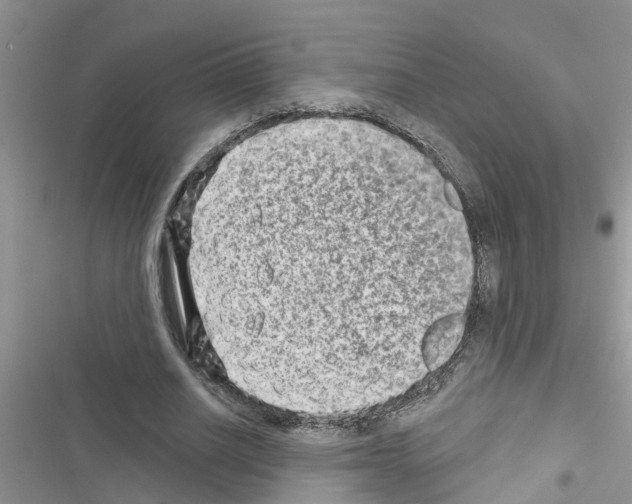 X0000116630630201001221401