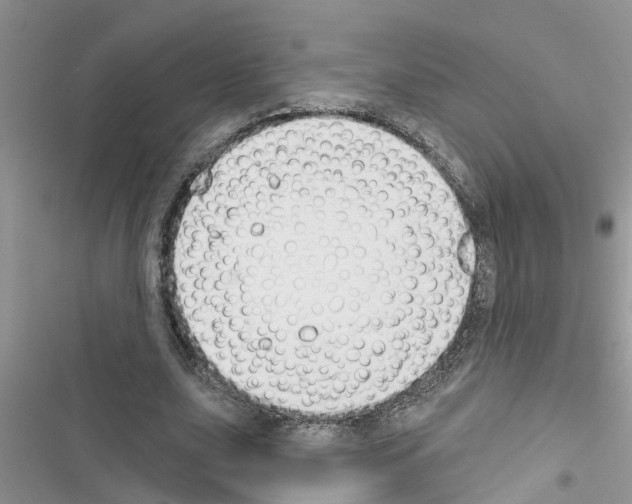X0000116630631201001221401