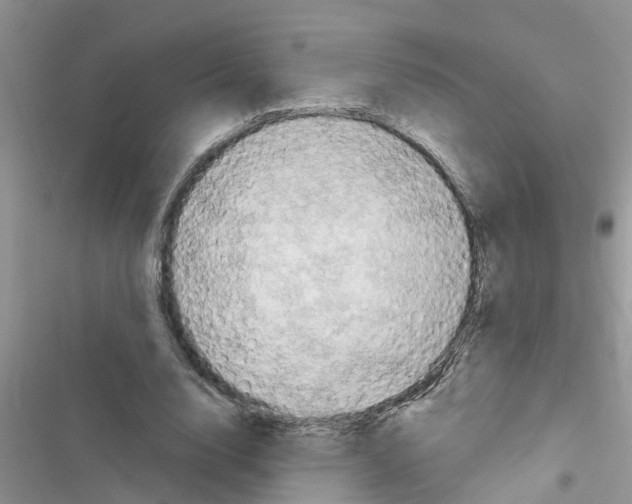 X0000116630632201001221401