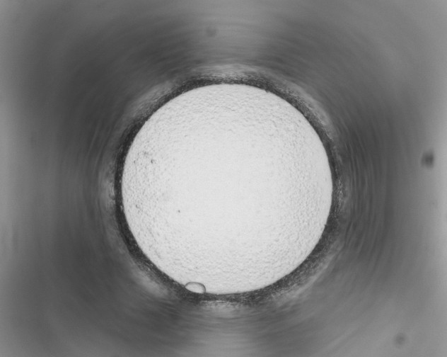 X0000116630633201001221401