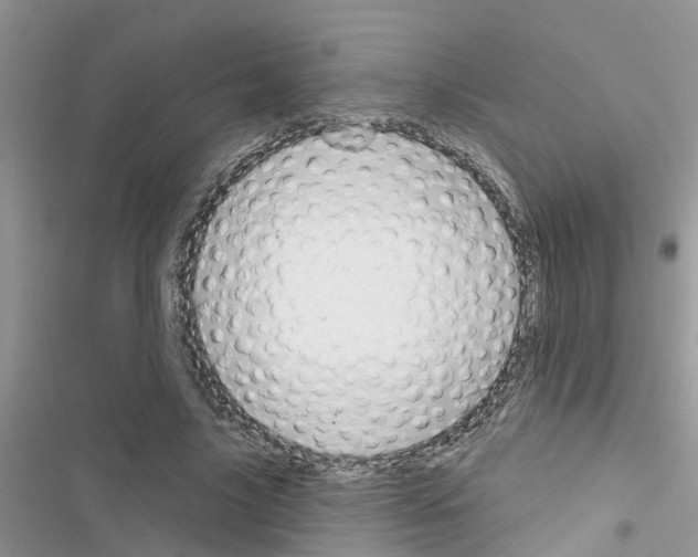 X0000116630635201001221401