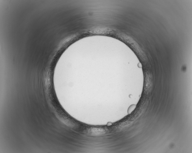 X0000116630636201001221401