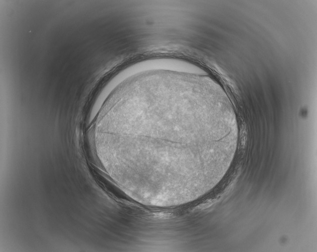 X0000116630637201001221401