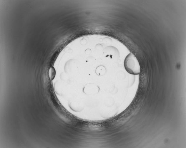 X0000116630638201001221401