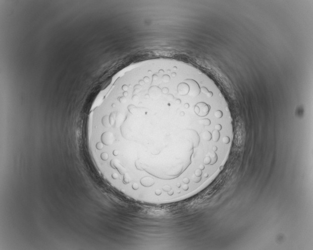 X0000116630639201001221401