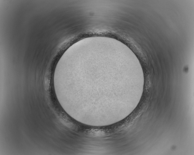 X0000116630640201001221401