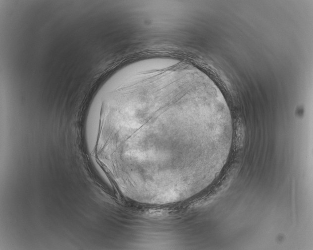 X0000116630641201001221401