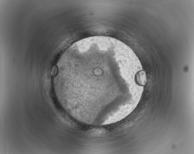 X0000116630642201001221401