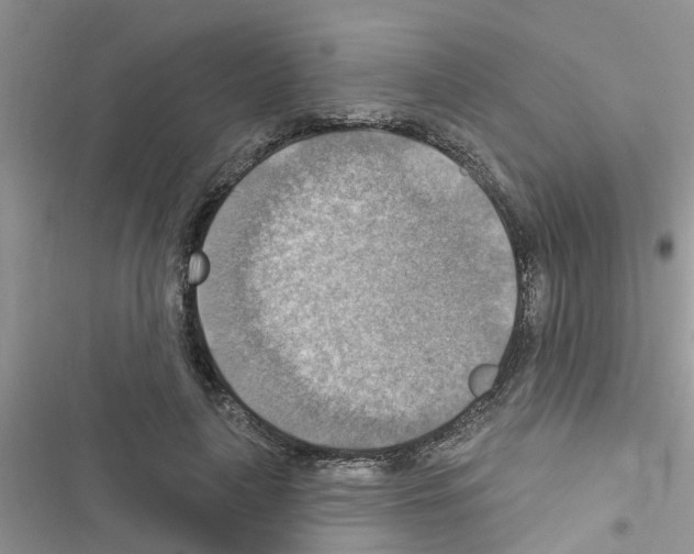 X0000116630643201001221401