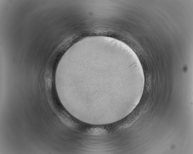 X0000116630644201001221401