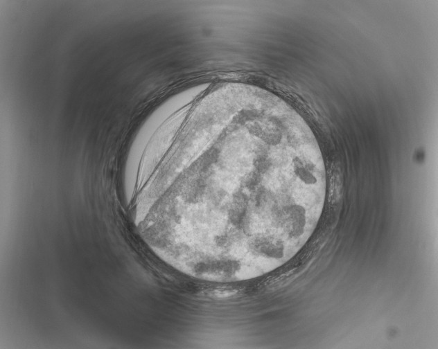 X0000116630647201001221401