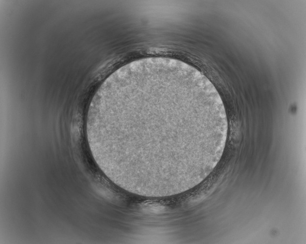 X0000116630648201001221401
