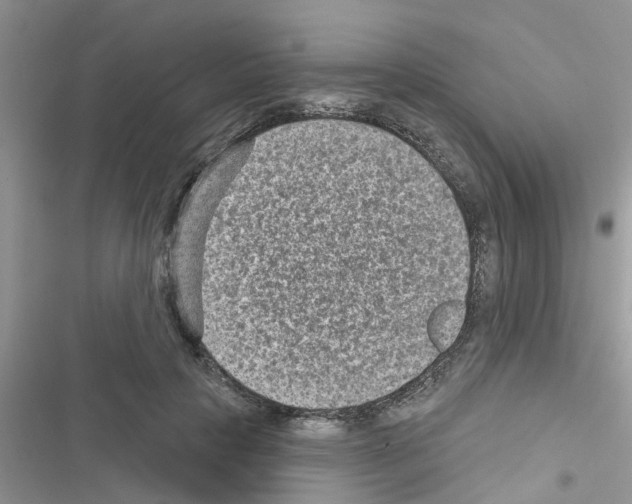 X0000116630649201001221401