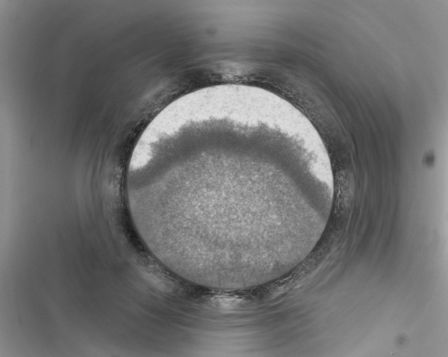 X0000116630650201001221401