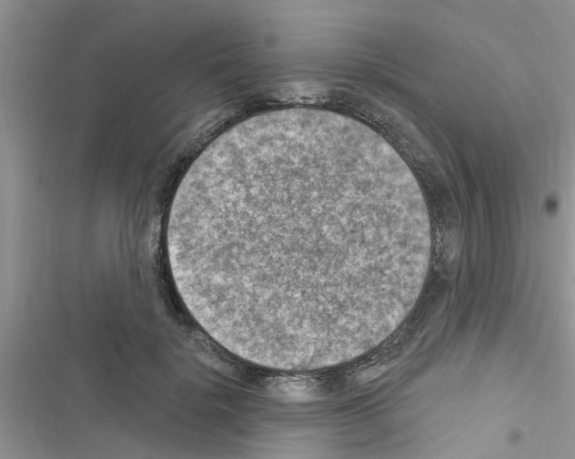 X0000116630652201001221402