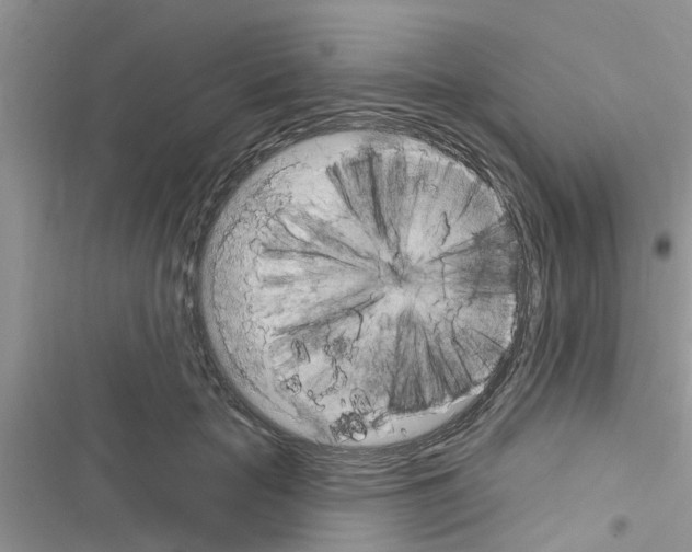 X0000116630653201001221402