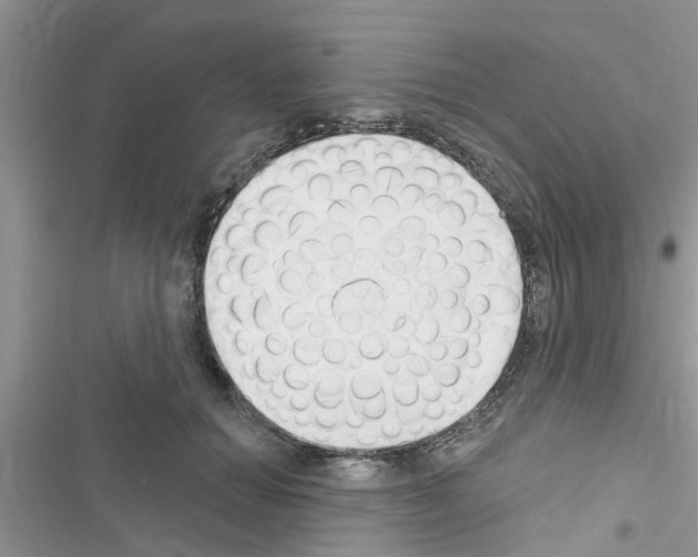 X0000116630654201001221402