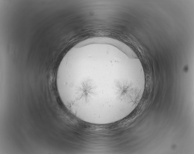 X0000116630655201001221402