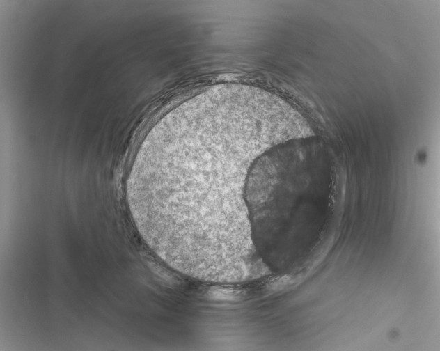 X0000116630657201001221402