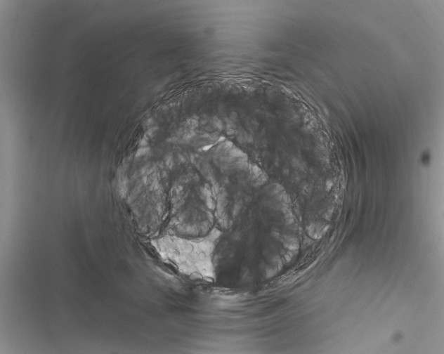 X0000116630659201001221402