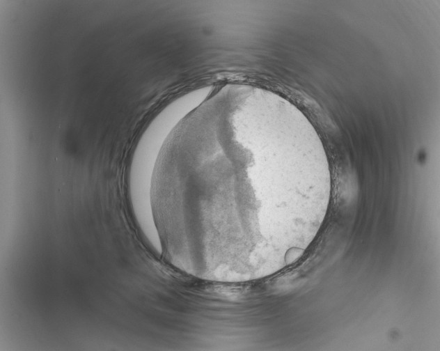 X0000116630661201001221402