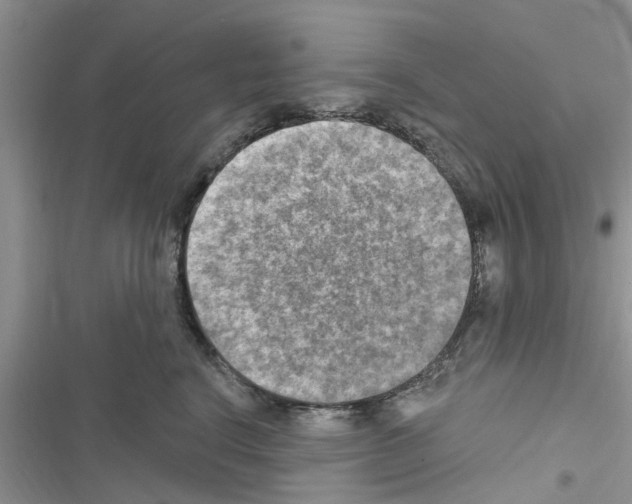 X0000116630664201001221402