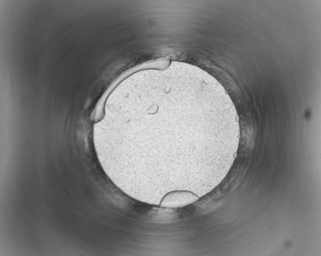 X0000116630665201001221402