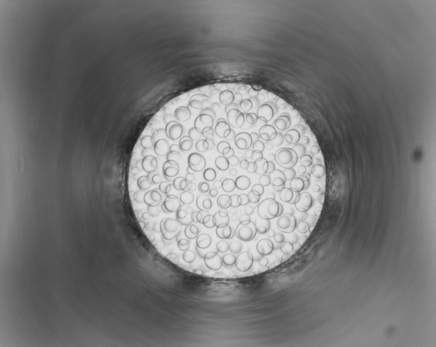 X0000116630666201001221402