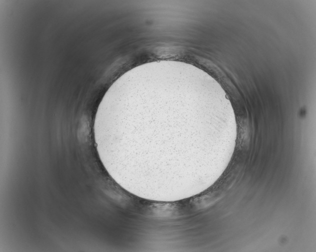 X0000116630667201001221402